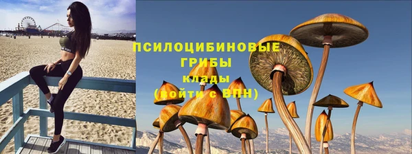 СК Аркадак