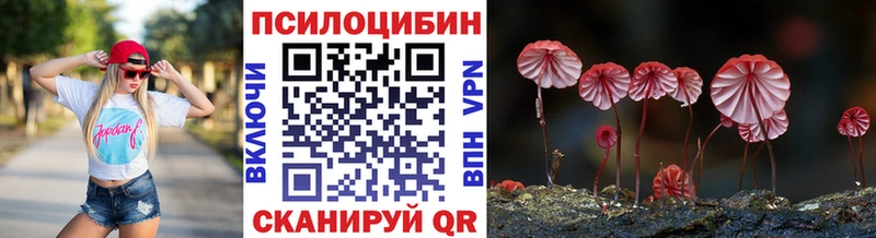 Галлюциногенные грибы Psilocybine cubensis Оха